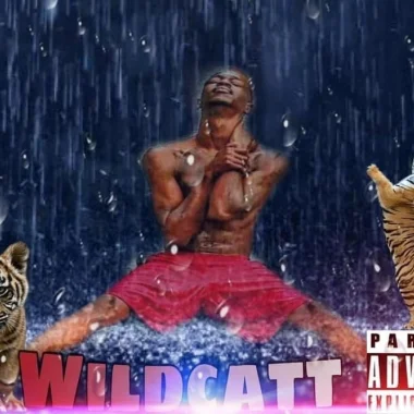 wildcatt420 🐈🐈🐈🐈🐈🐈🐈